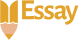 Essay Writer NZ